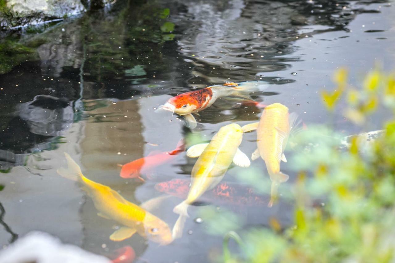 Tongli 1917 Best South Inn Suzhou  Eksteriør billede